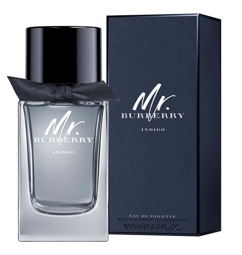 mister burberry eau de toilette|mr Burberry indigo 100ml.